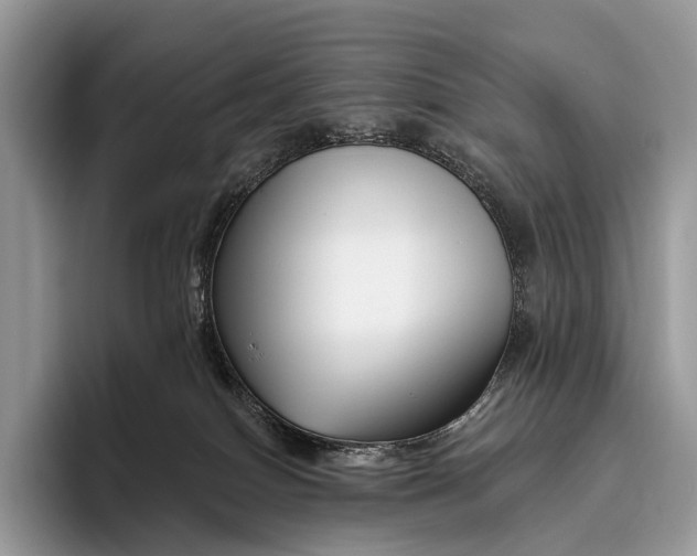 X0000095930086200802011030