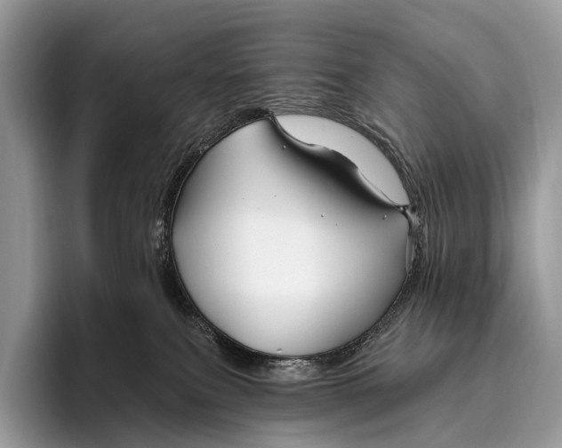 X0000095930087200802011030
