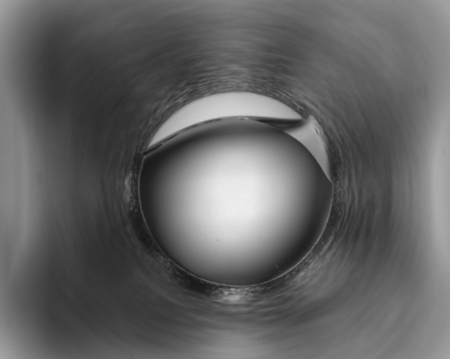 X0000095930088200802011030