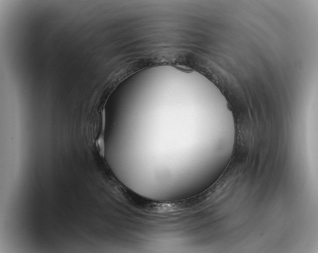 X0000095930091200802011030