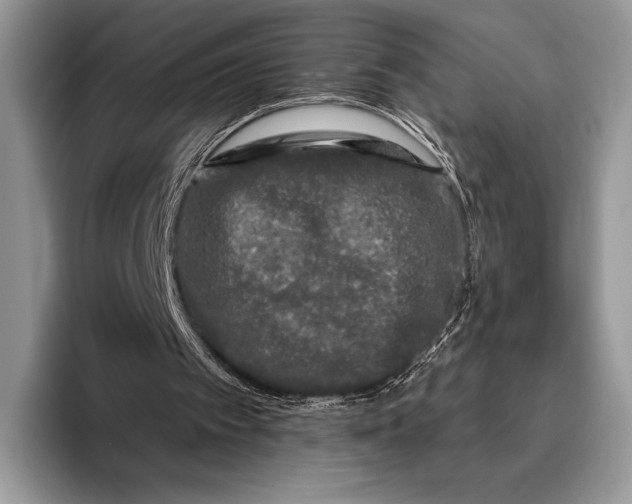 X0000095930097200802011029