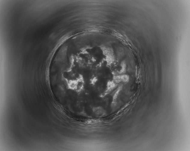 X0000095930099200802011029