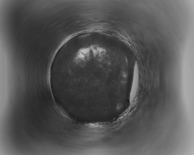 X0000095930100200802011029