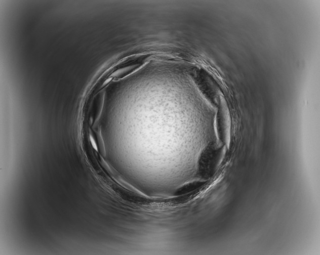 X0000095930101200802011029