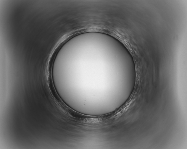 X0000095930102200802011029