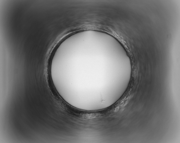 X0000095930103200802011029