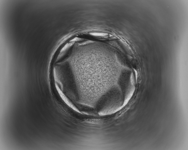 X0000095930104200802011029