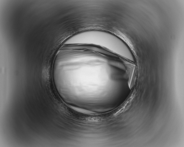 X0000095930105200802011029