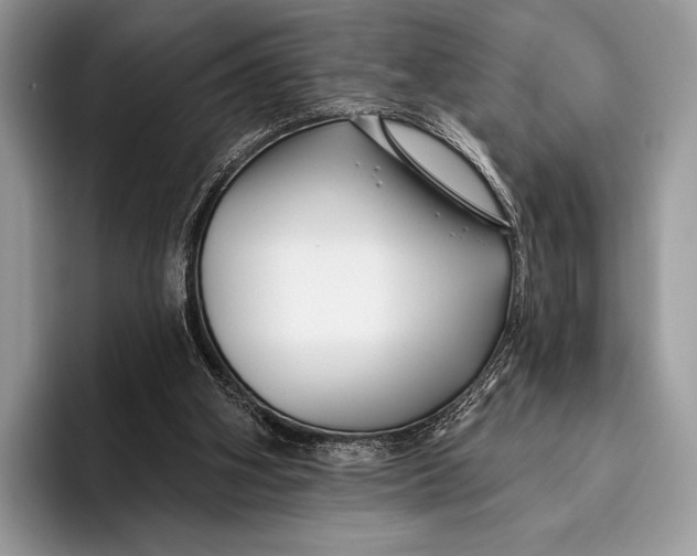 X0000095930106200802011029