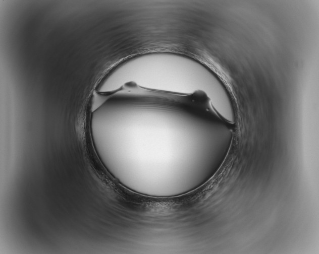 X0000095930107200802011029