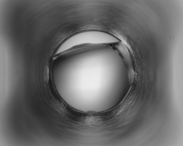 X0000095930109200802011029