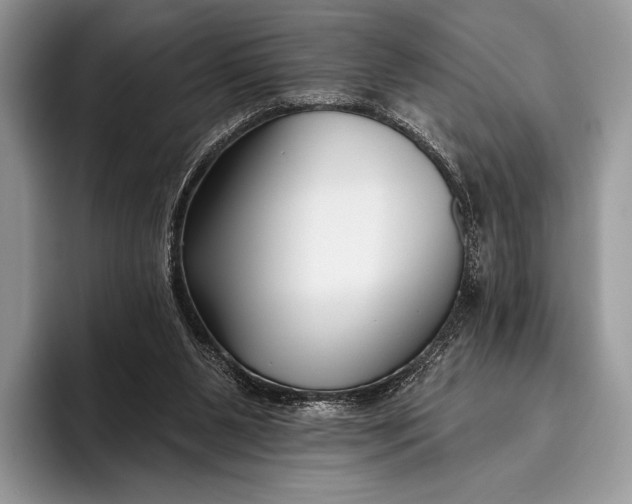 X0000095930111200802011029