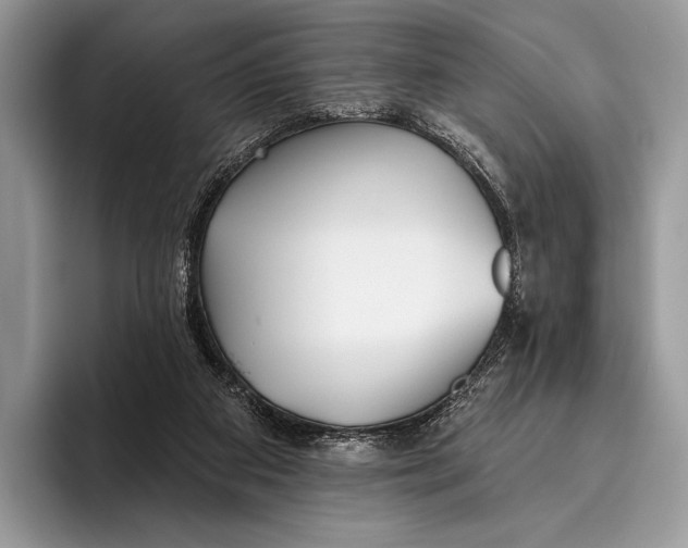 X0000095930113200802011029