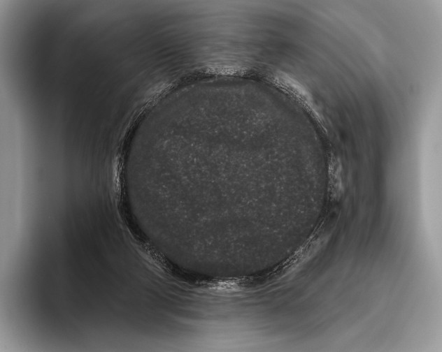 X0000095930114200802011029