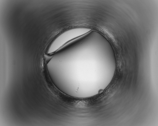 X0000095930115200802011029