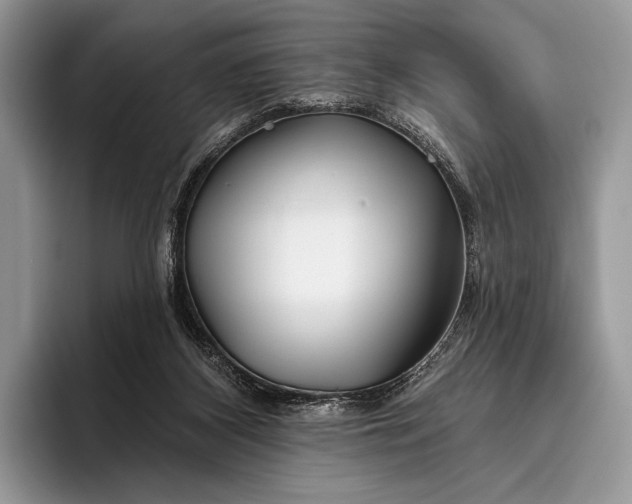 X0000095930116200802011029
