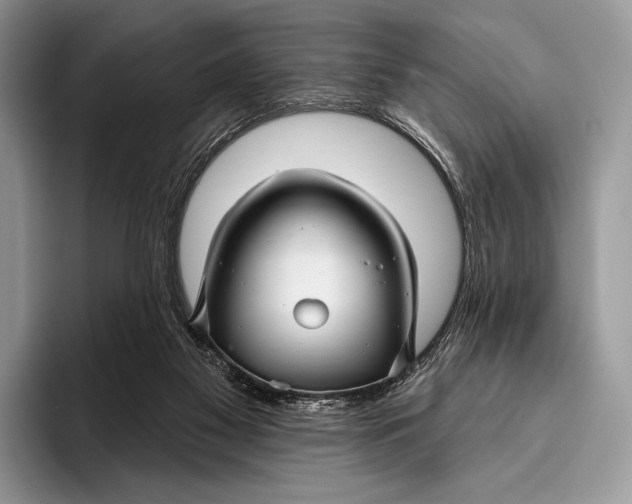 X0000095930117200802011029