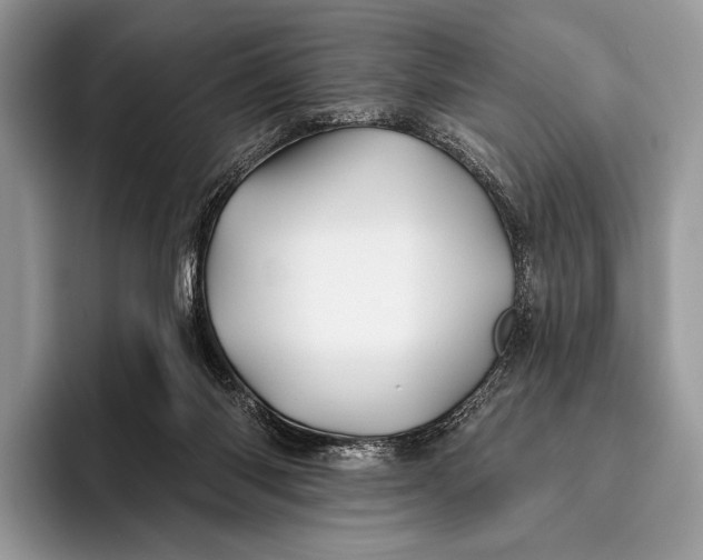 X0000095930118200802011029