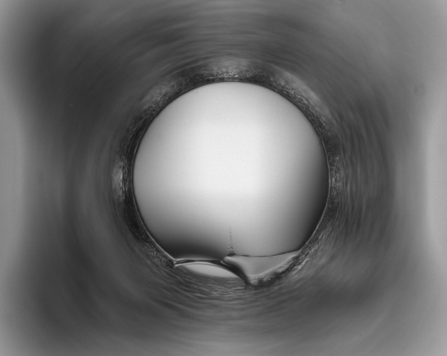 X0000095930119200802011029