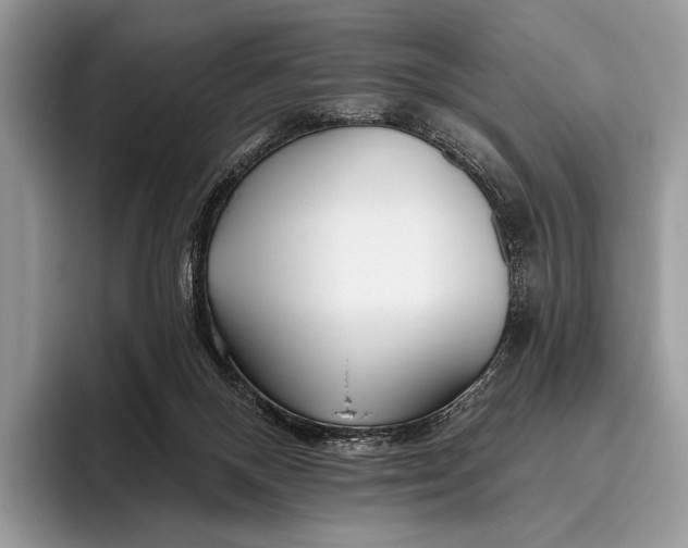 X0000095930120200802011029