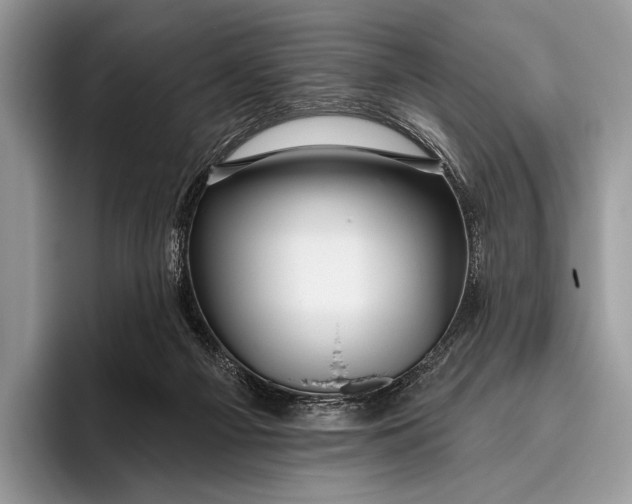 X0000095930121200802011029