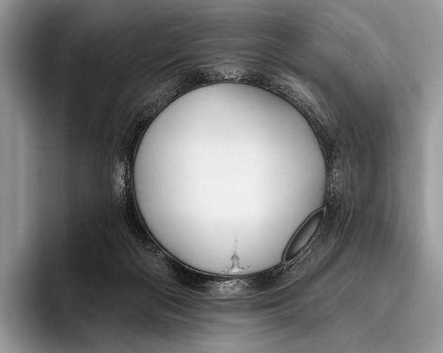 X0000095930122200802011029