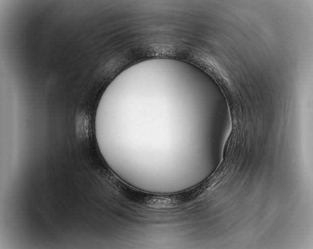 X0000095930123200802011029