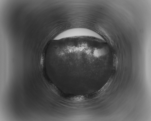 X0000095930124200802011029