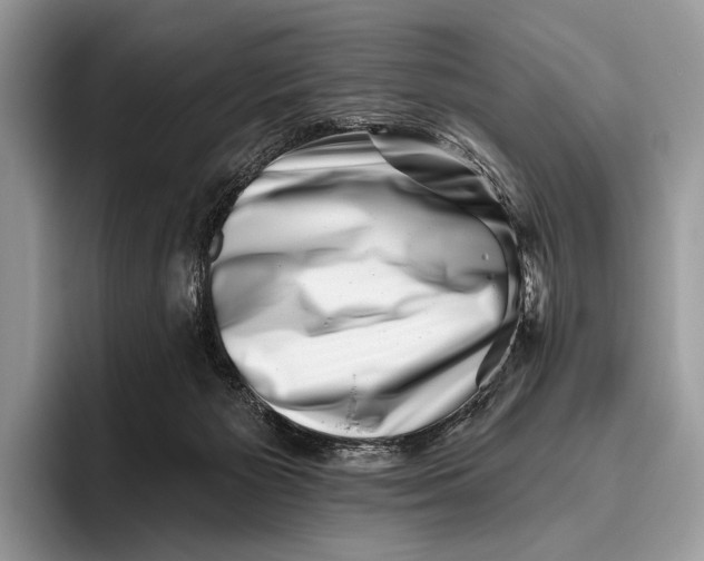 X0000095930125200802011029