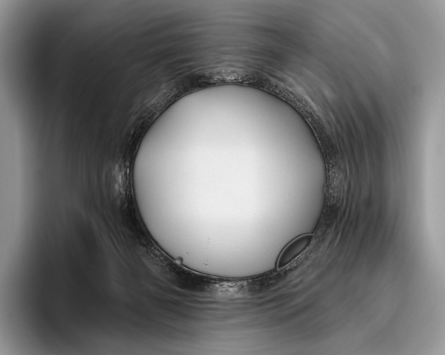 X0000095930126200802011029