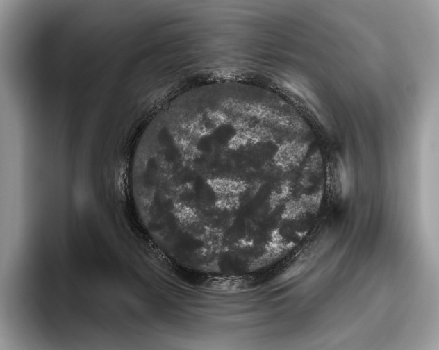 X0000095930127200802011029