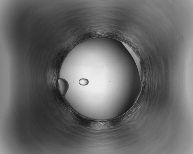 X0000095930129200802011029