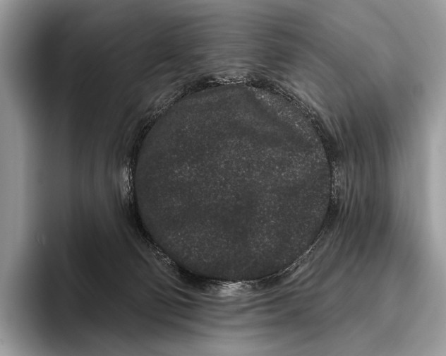 X0000095930130200802011029