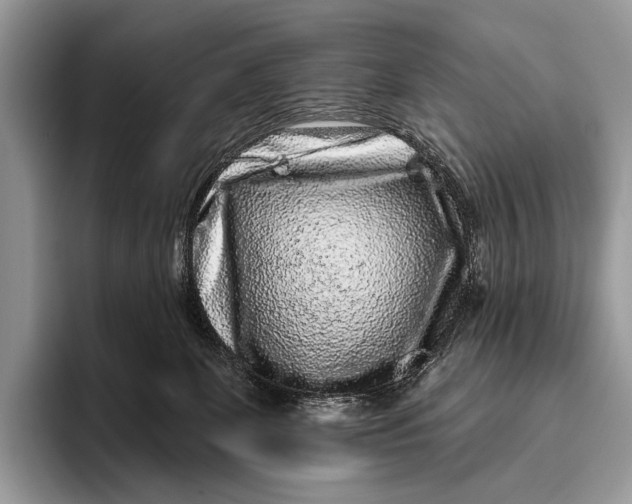 X0000095930131200802011029