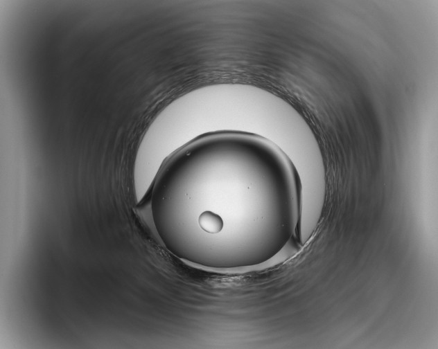 X0000095930132200802011029