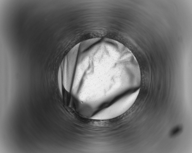 X0000095930134200802011029