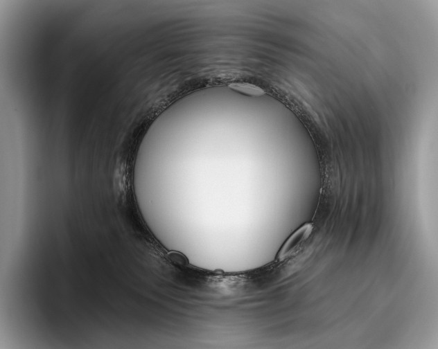 X0000095930135200802011029