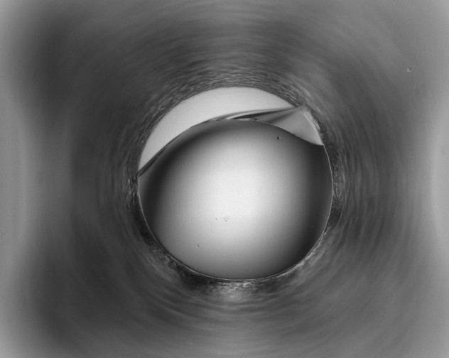 X0000095930136200802011029
