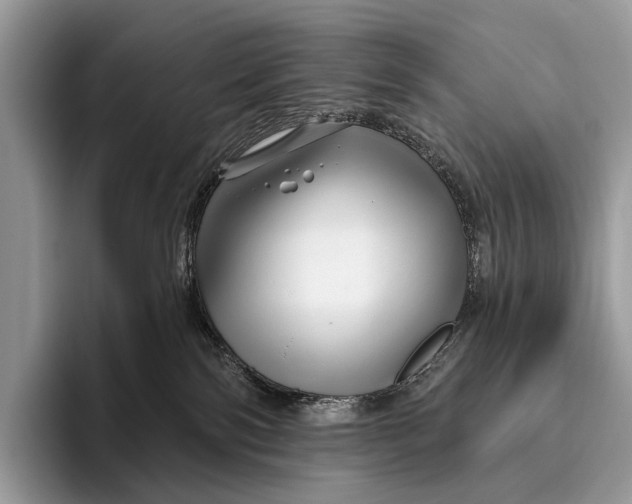X0000095930138200802011028