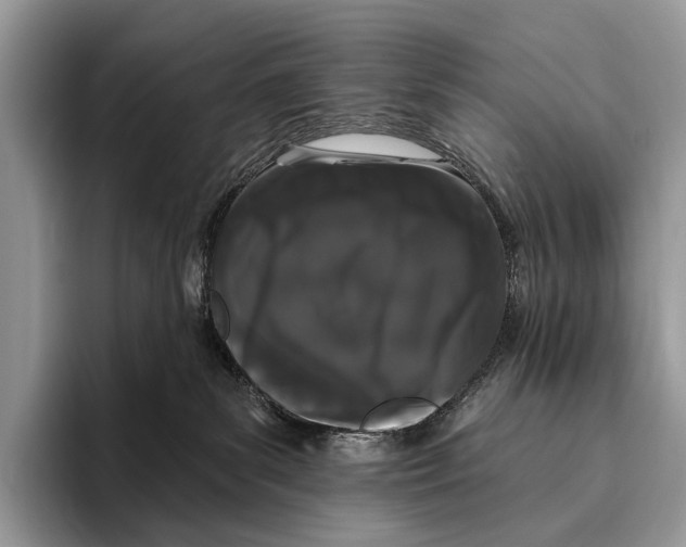 X0000095930139200802011028