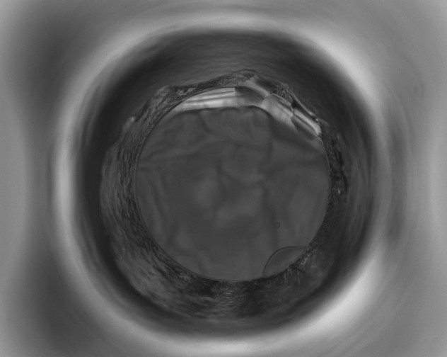X0000095930143200802011028