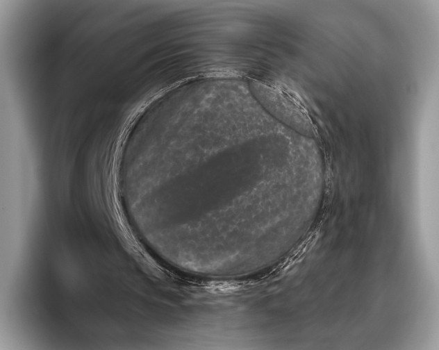 X0000095930145200802011028