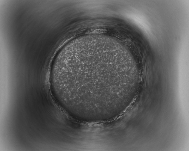 X0000095930146200802011028