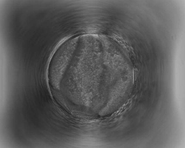 X0000095930147200802011028