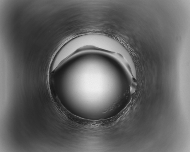 X0000095930148200802011028