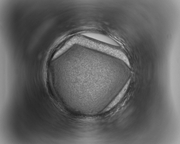 X0000095930149200802011028