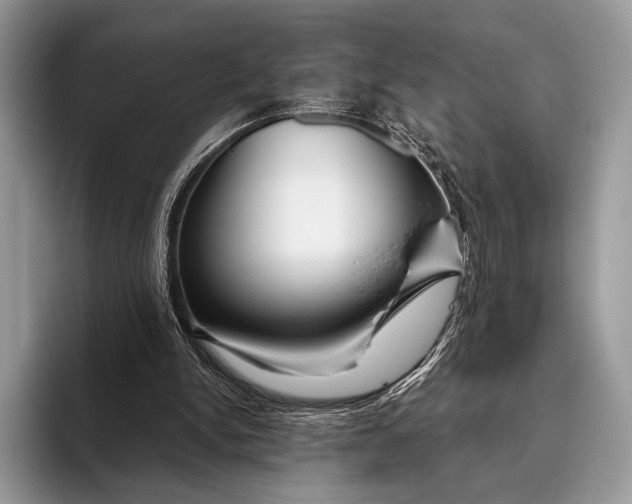 X0000095930150200802011028