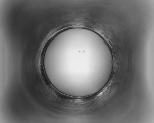 X0000095930151200802011028