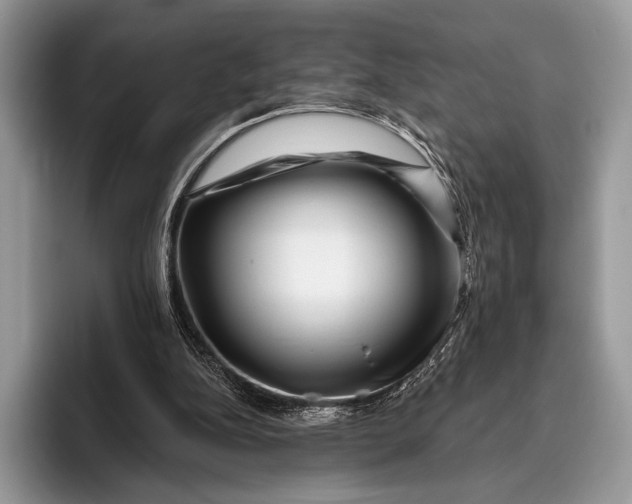 X0000095930152200802011028