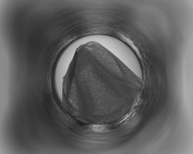 X0000095930154200802011028